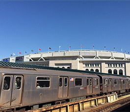 Bronx